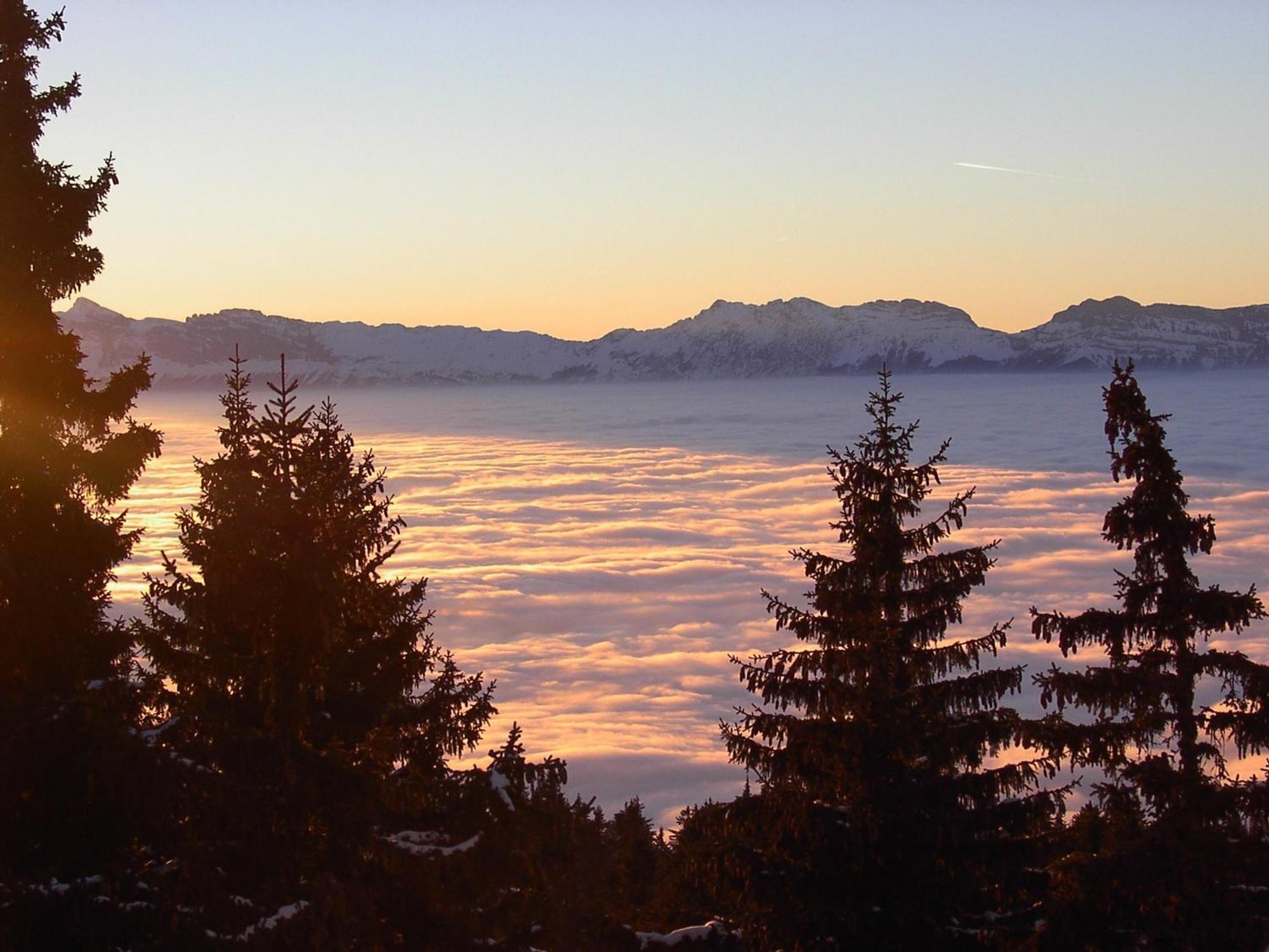 Appartement Cosy 50M², Au Pied Des Pistes, Balcon Ouest, Animaux Acceptes - Chamrousse 1750 - Fr-1-549-143 Εξωτερικό φωτογραφία